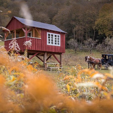 Valea Verde Retreat Transilvania Cund 外观 照片