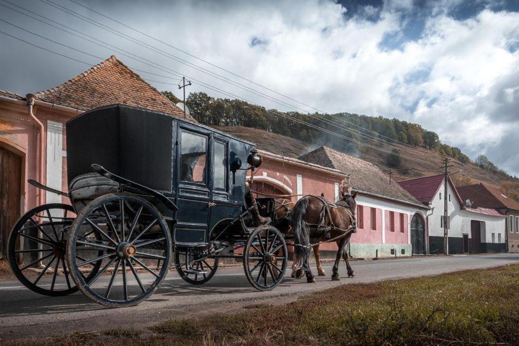 Valea Verde Retreat Transilvania Cund 外观 照片