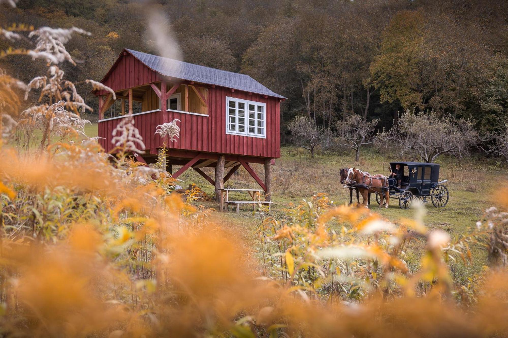 Valea Verde Retreat Transilvania Cund 外观 照片